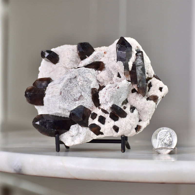 Smoky Quartz on Feldspar cluster (CH-SQ-41)