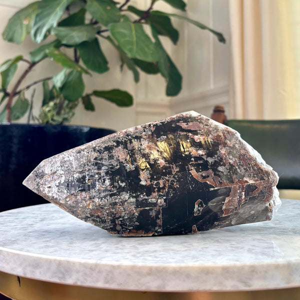 Alluring 6 Pound Colorado Smoky Quartz Crystal (CH-SQ-39)