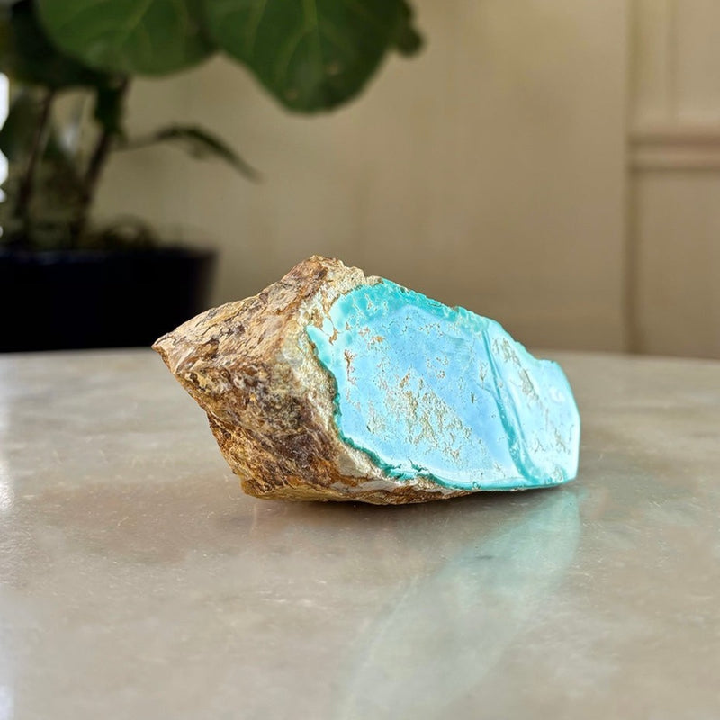 Royston Turquoise Specimen (TO-4)