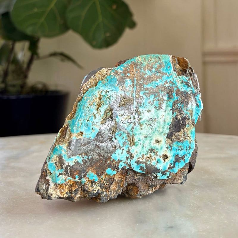 Blue Dream Turquoise Specimen (TO-5)