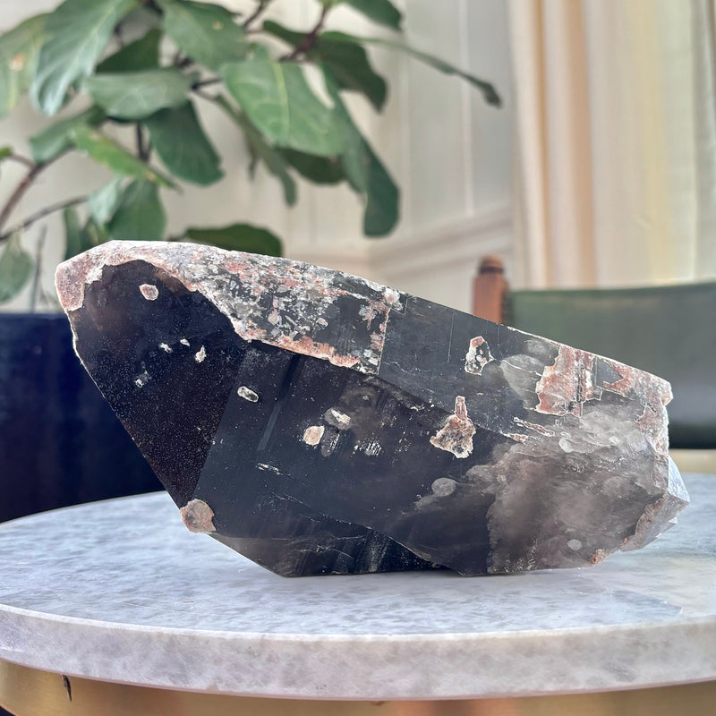 Alluring 6 Pound Colorado Smoky Quartz Crystal (CH-SQ-39)