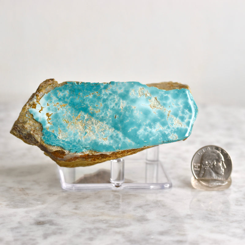 Royston Turquoise Specimen (TO-4)