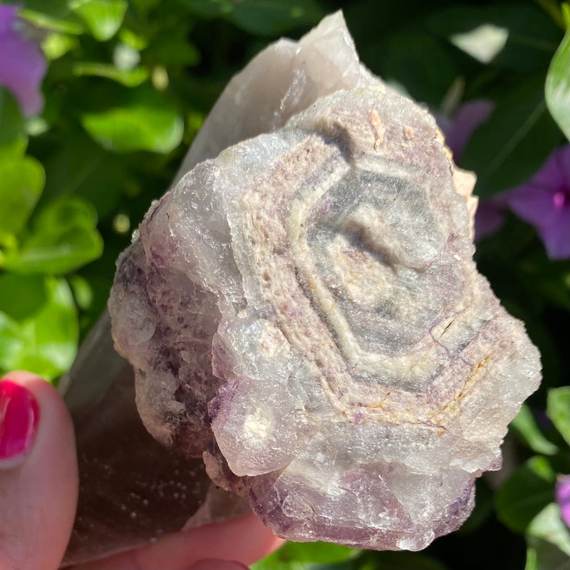 Smoky quartz with fluorite cluster and possible pseudomorph