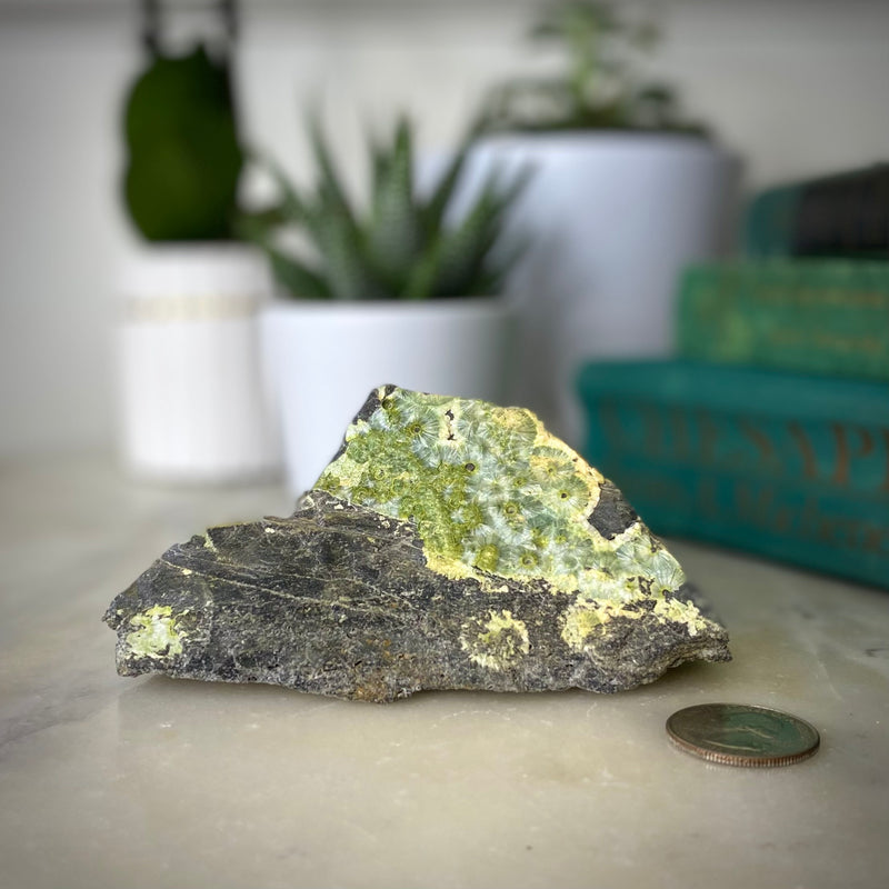 Lime slice Wavellite (W-14)