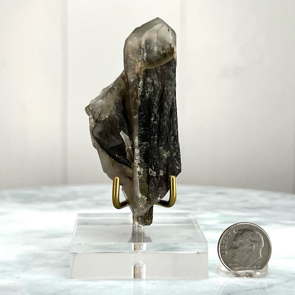 Clear capped Smoky with Chlorite (MW-SGL-5)