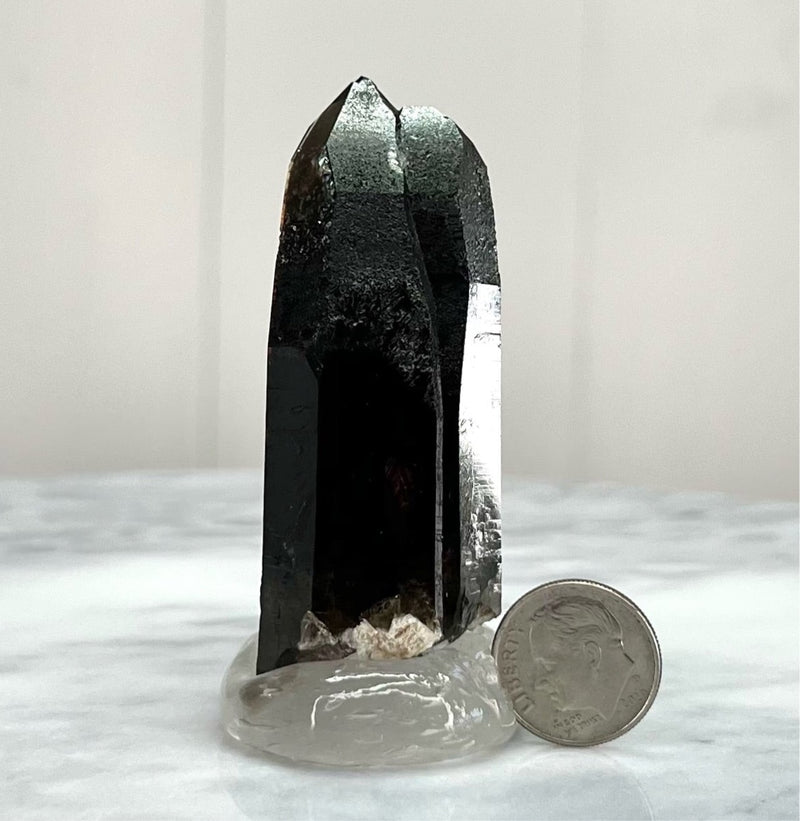 High gloss double Smoky Point (MW-SQ-2)
