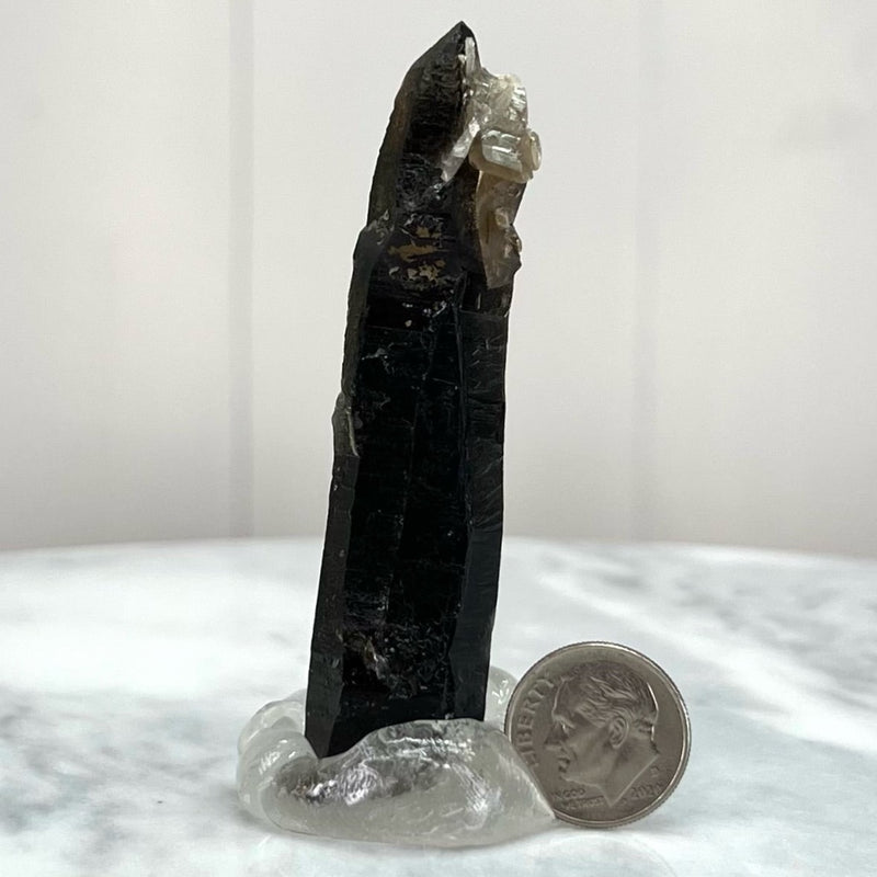 Glossy Smoky Point (MW-SQ-13)
