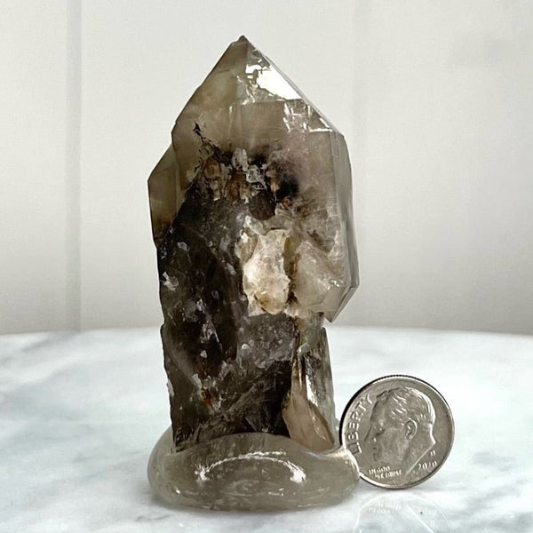 Clear capped- Smoky Quartz crystal (MW-SGL-3)